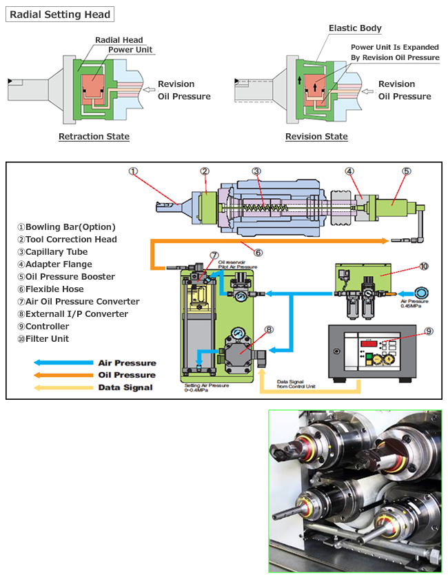 Schema